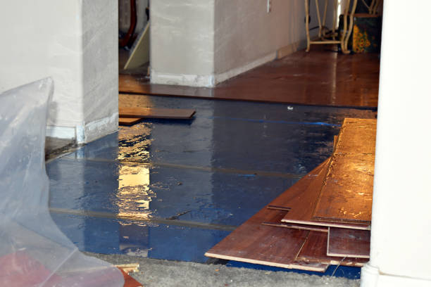 Professional Water Extraction technician working in Redlands, CO